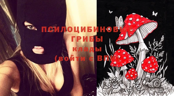 меф Нефтегорск