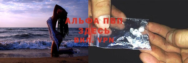 стаф Нея