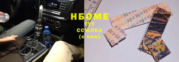 стаф Нея