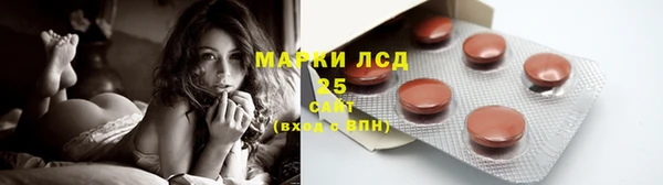 стаф Нея