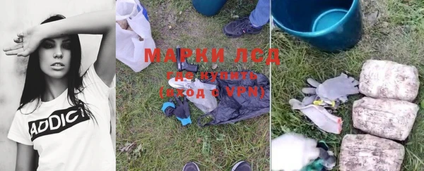 стаф Нея