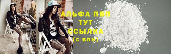 стаф Нея